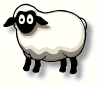 sheep9