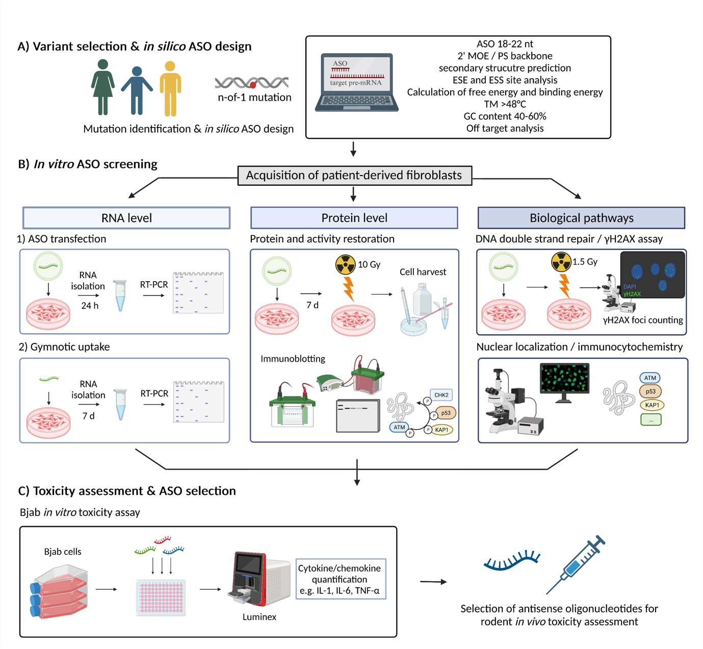 Wissenschaftliche Abbildung