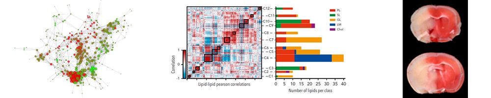 Wissenschaftliche Abbildungen