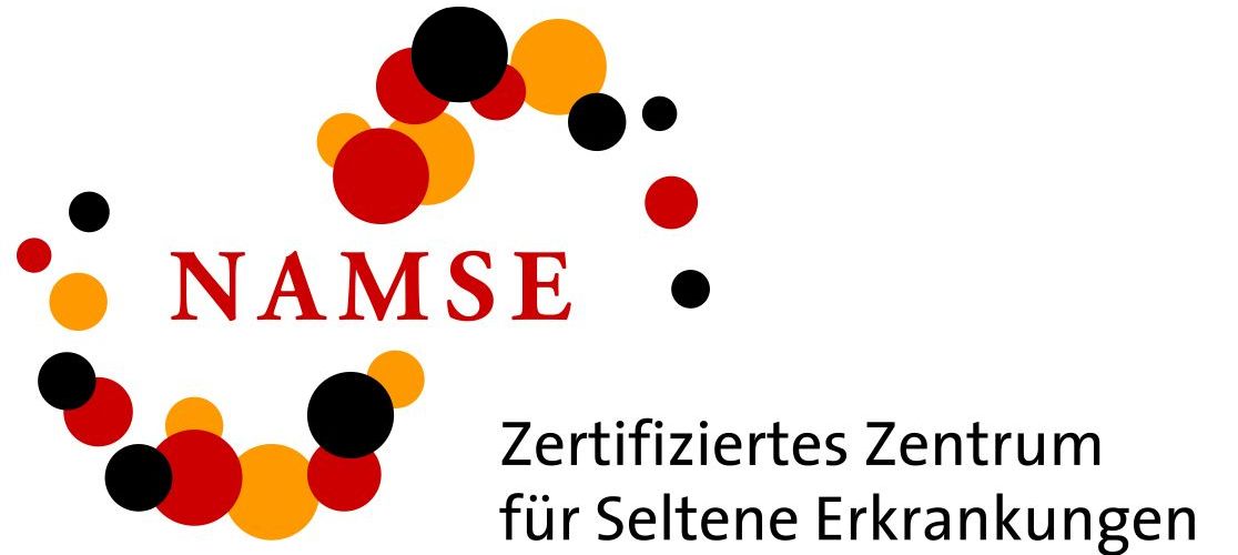 NAMSE Logo