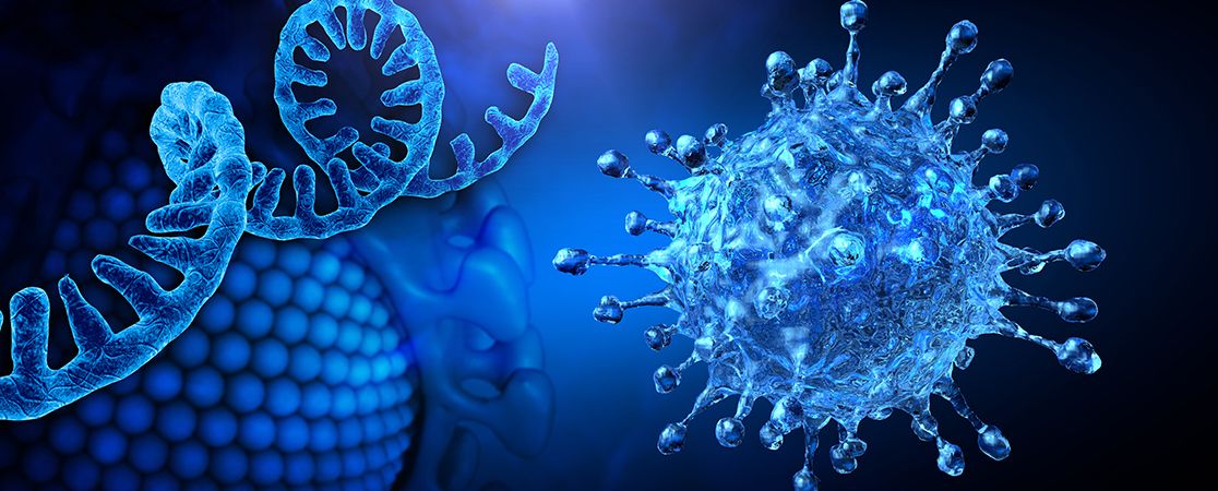 Schmuckbild: Einzelstrang der RNA. Mikroskopische Darstellung einer infektiösen SARS-CoV-2-Viruszelle