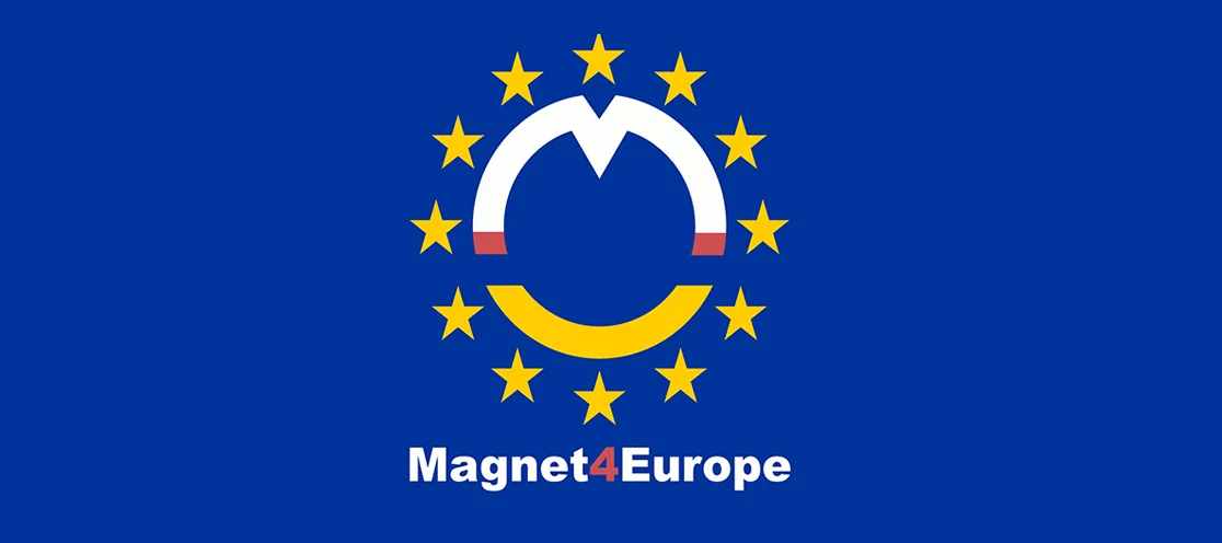 Magnet