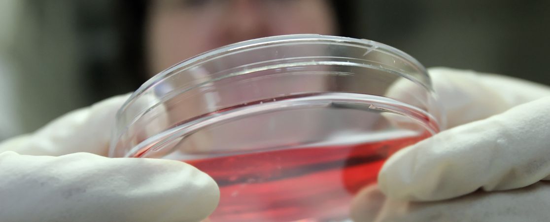 wissenschaftliche abbildung