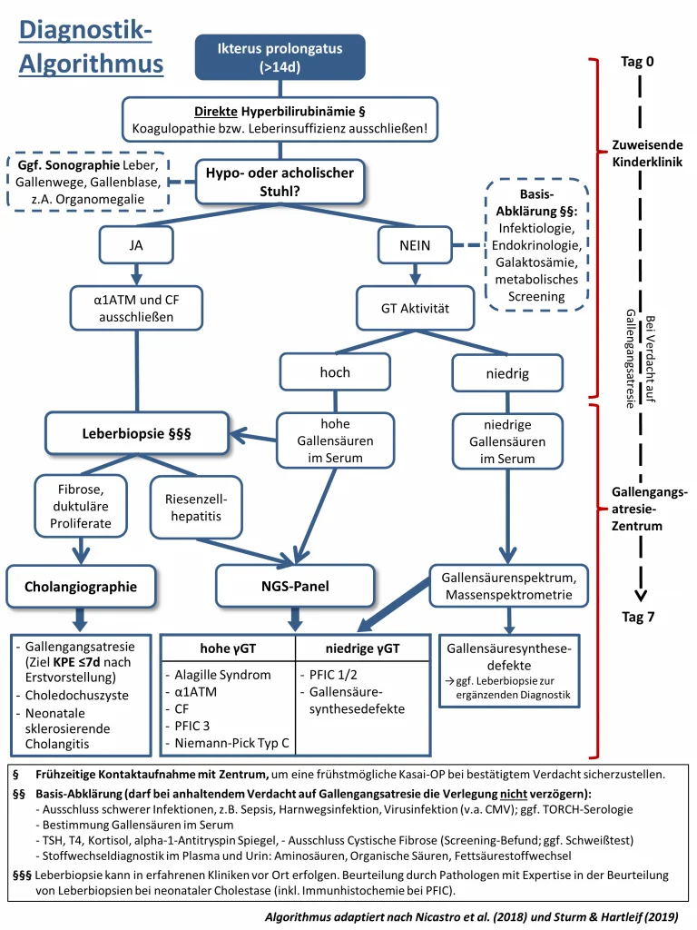 Gallengansatresie Diagnostik-Algorithmus
