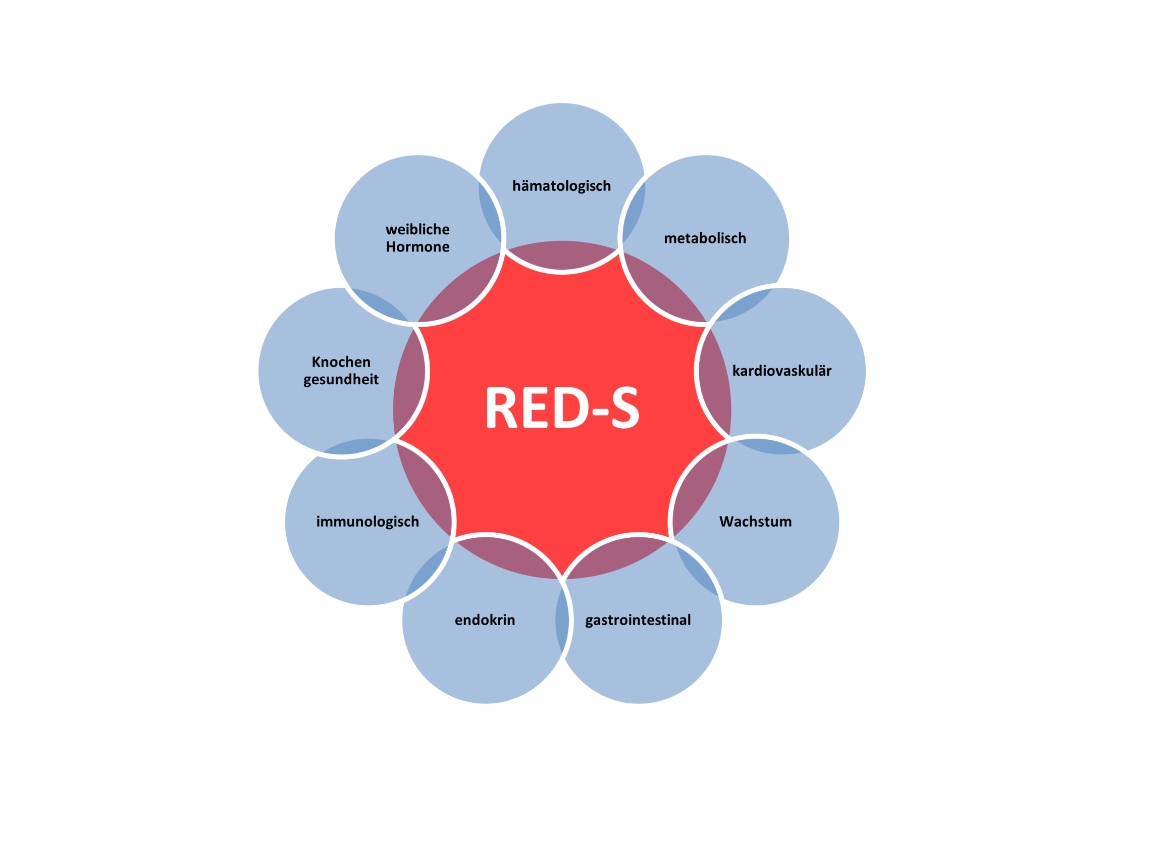 Abbildung zur Struktur der Ambulanz