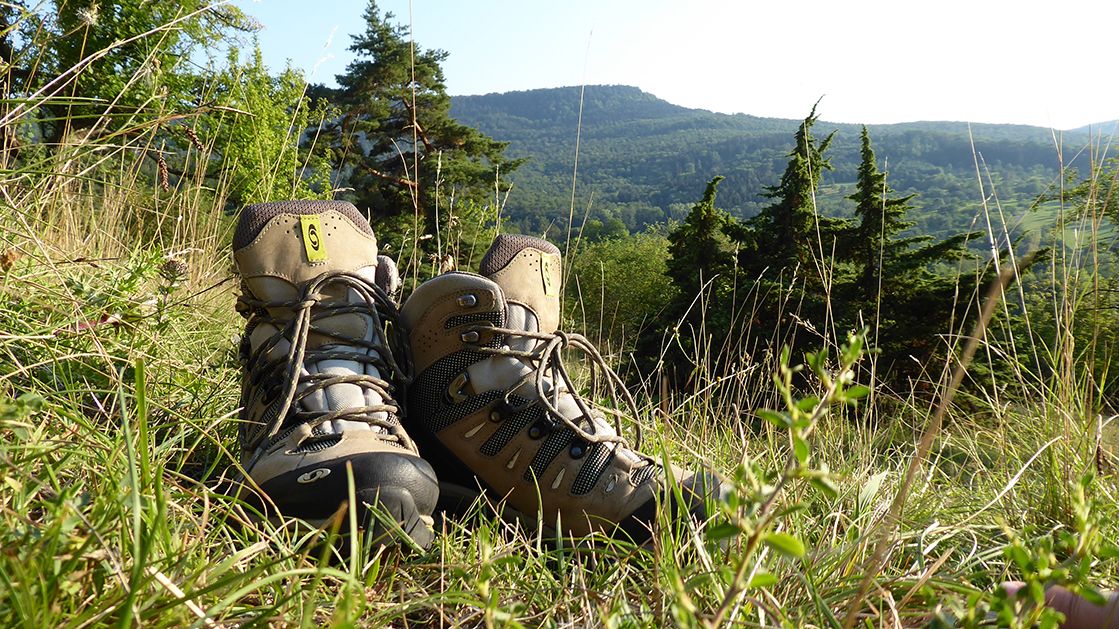 Wanderschuh auf grüner Wiese