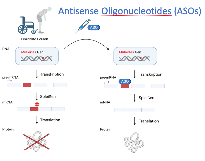 Wissenschaftliche Abbildung