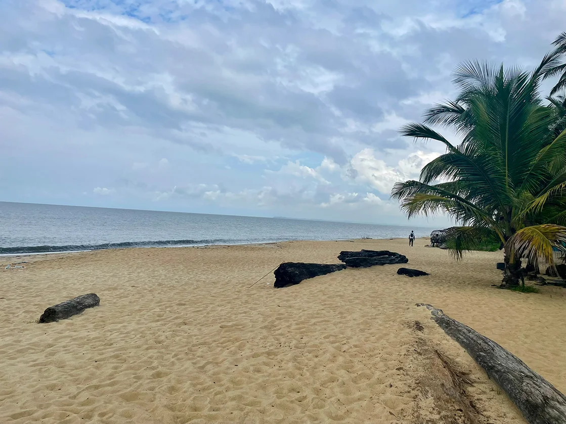 Strand in den Tropen mit Meer im Hintergrund und Palmen rechts