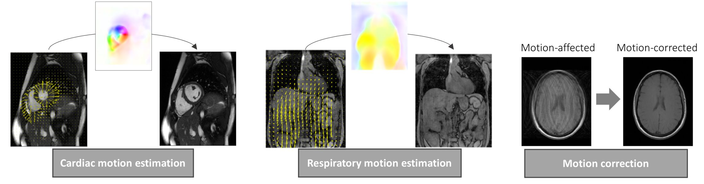 Wissenschaftliche Abbildung