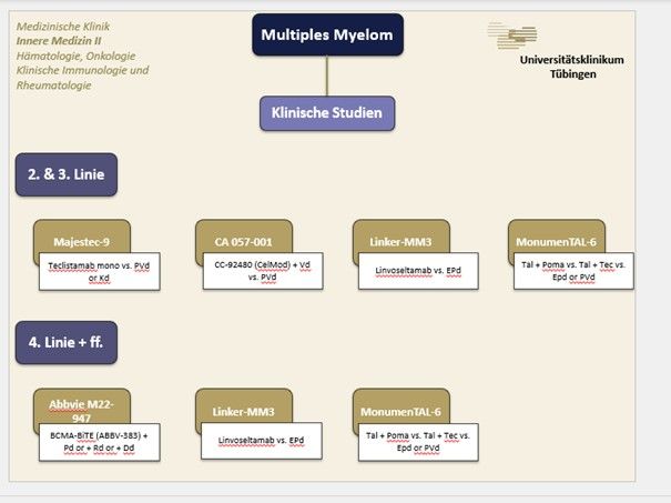 Organigramm Studienübersicht- Siehe Text rechts