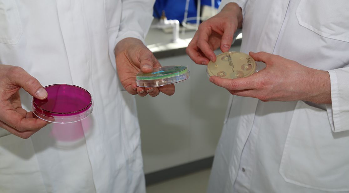 Schmuckbild Ärzte mit Petrischalen