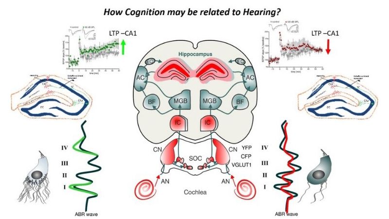 Wissenschaftliche Abbildung
