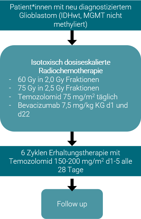 Grafik zum Studienablauf