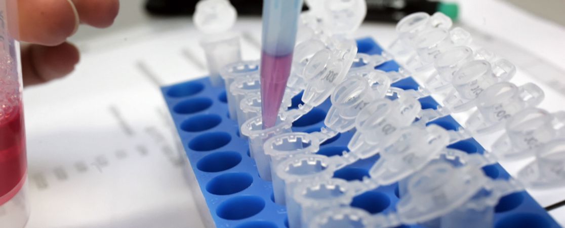 wissenschaftliche Abbildung