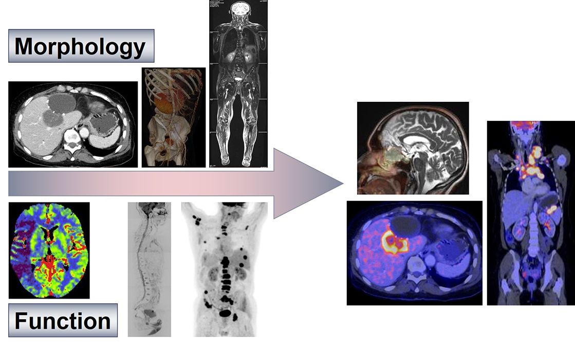 Wissenschaftliche Abbildung