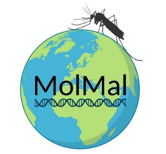 Logo MolMal