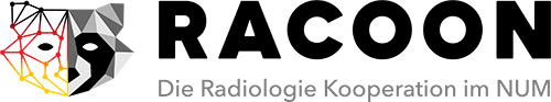 Racoon Logo