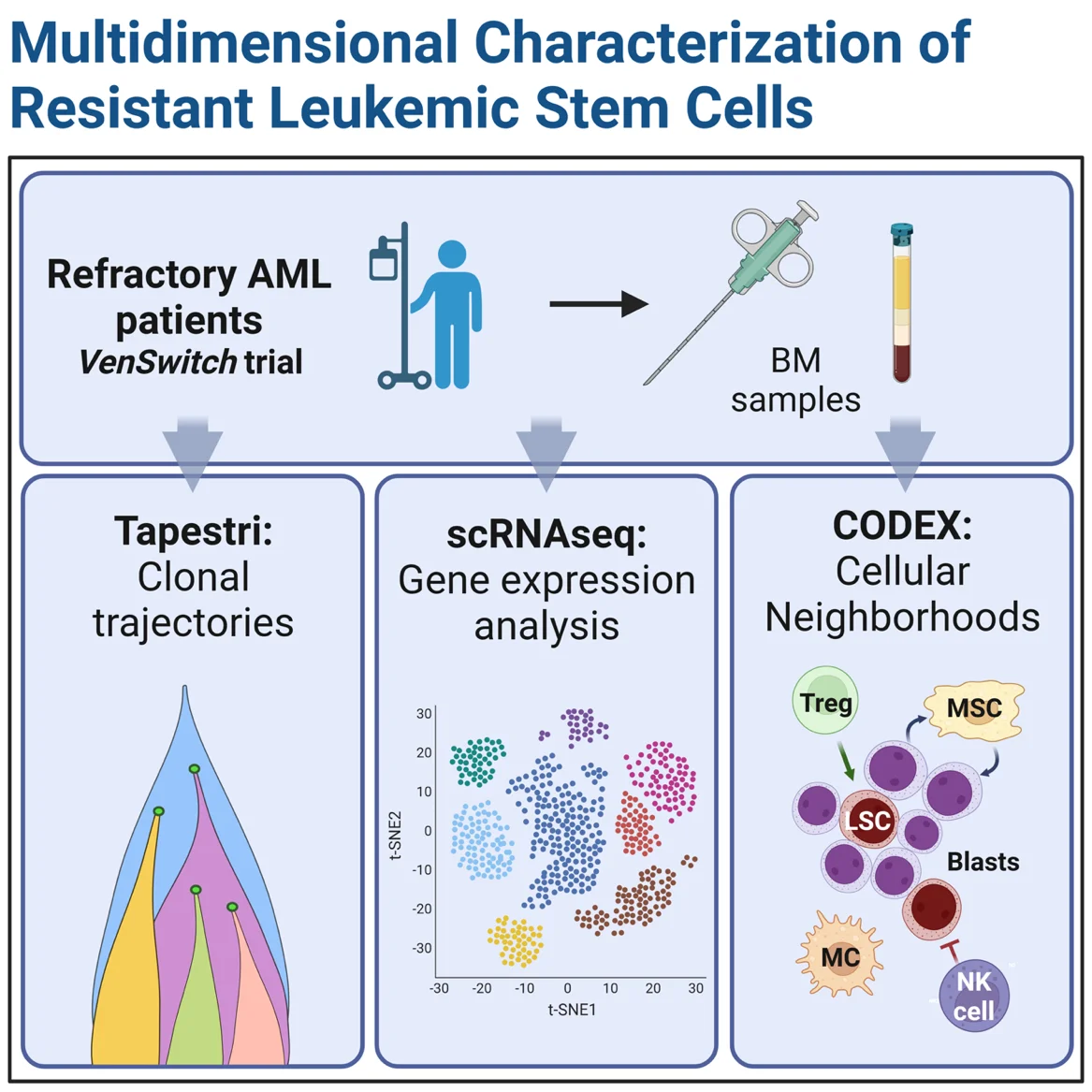 Schaubild: Multidimensionale räumliche Einzelzell-Omics-Charakterisierung von LSCs und dem TME des Knochenmarks bei Leukämiepatienten