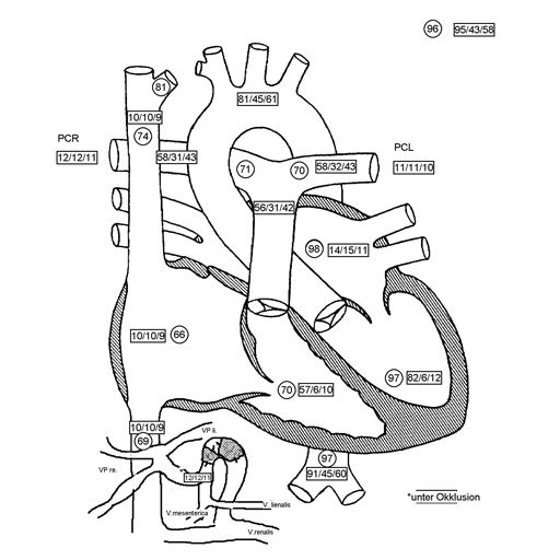 Wissenschaftliche Abbildung CPSS