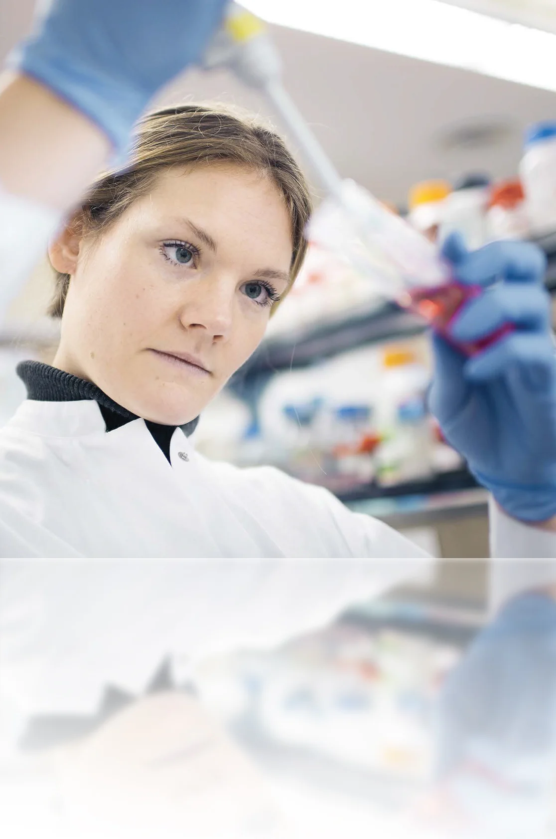 Forscherin im Labor mit arbeitet mit Pipette