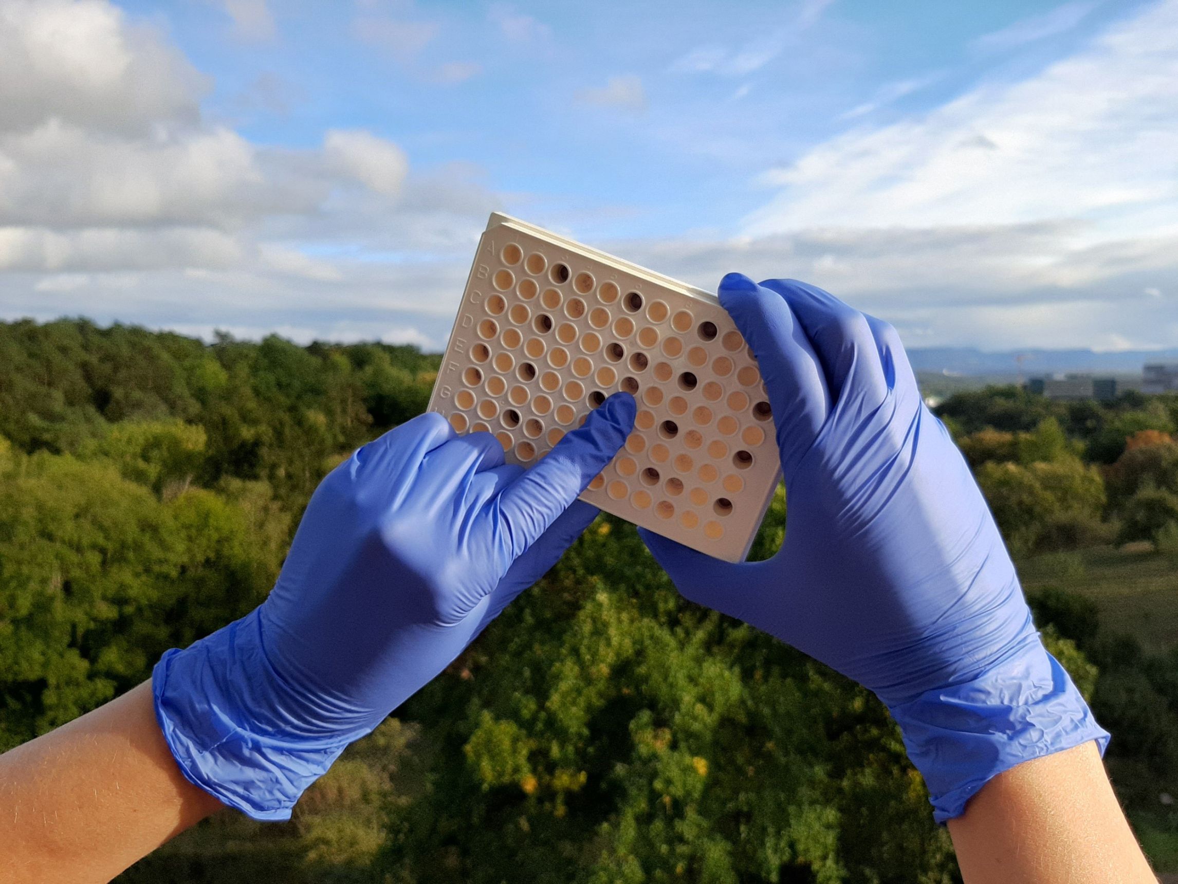 Hände in blauen Handschuhen halten Laborschälchen in die Luft vor grünem Wald und blauem Himmel