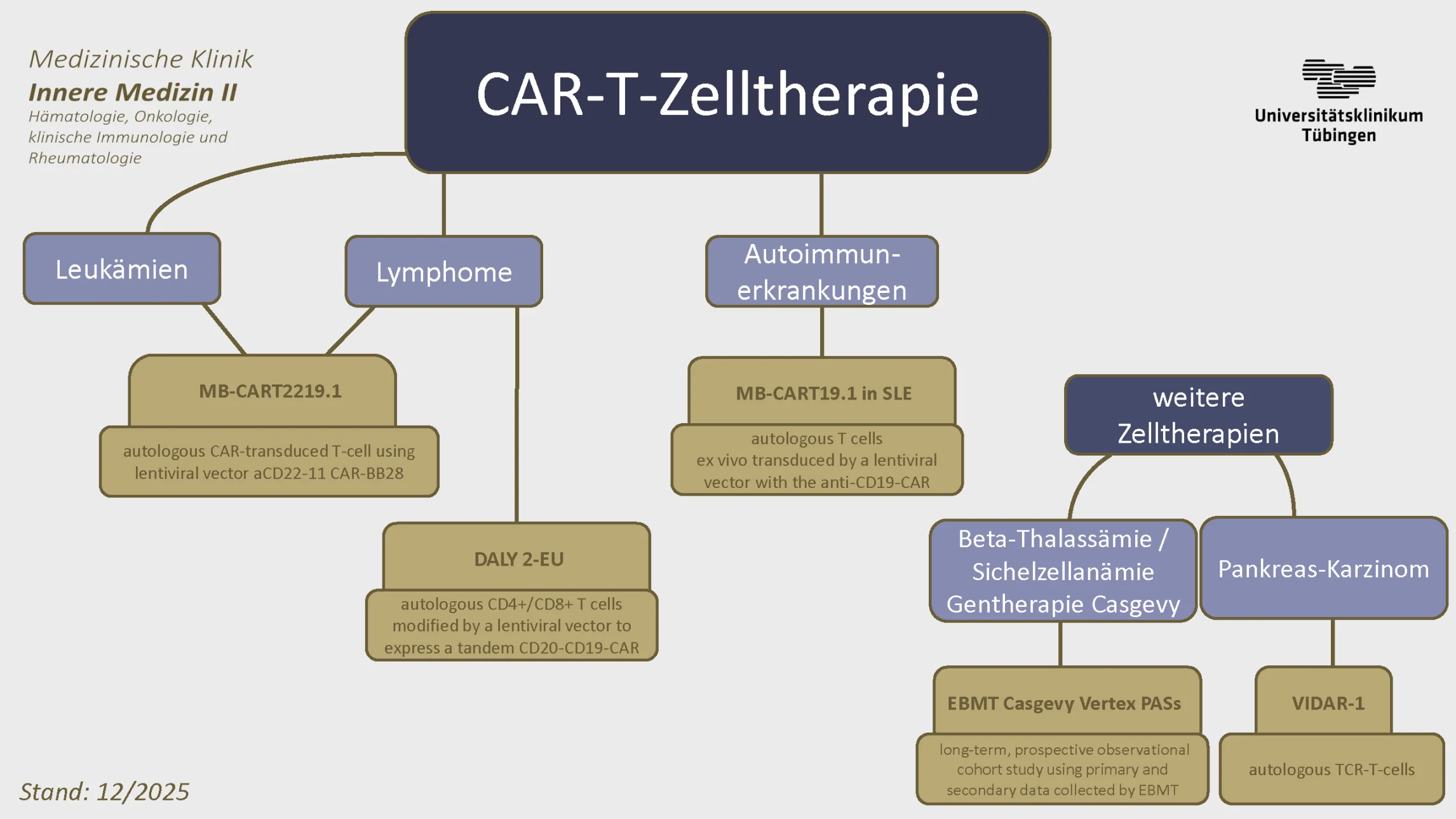 Organigramm Studienübersicht CAR-T-Zelltherapie - Siehe Text rechts