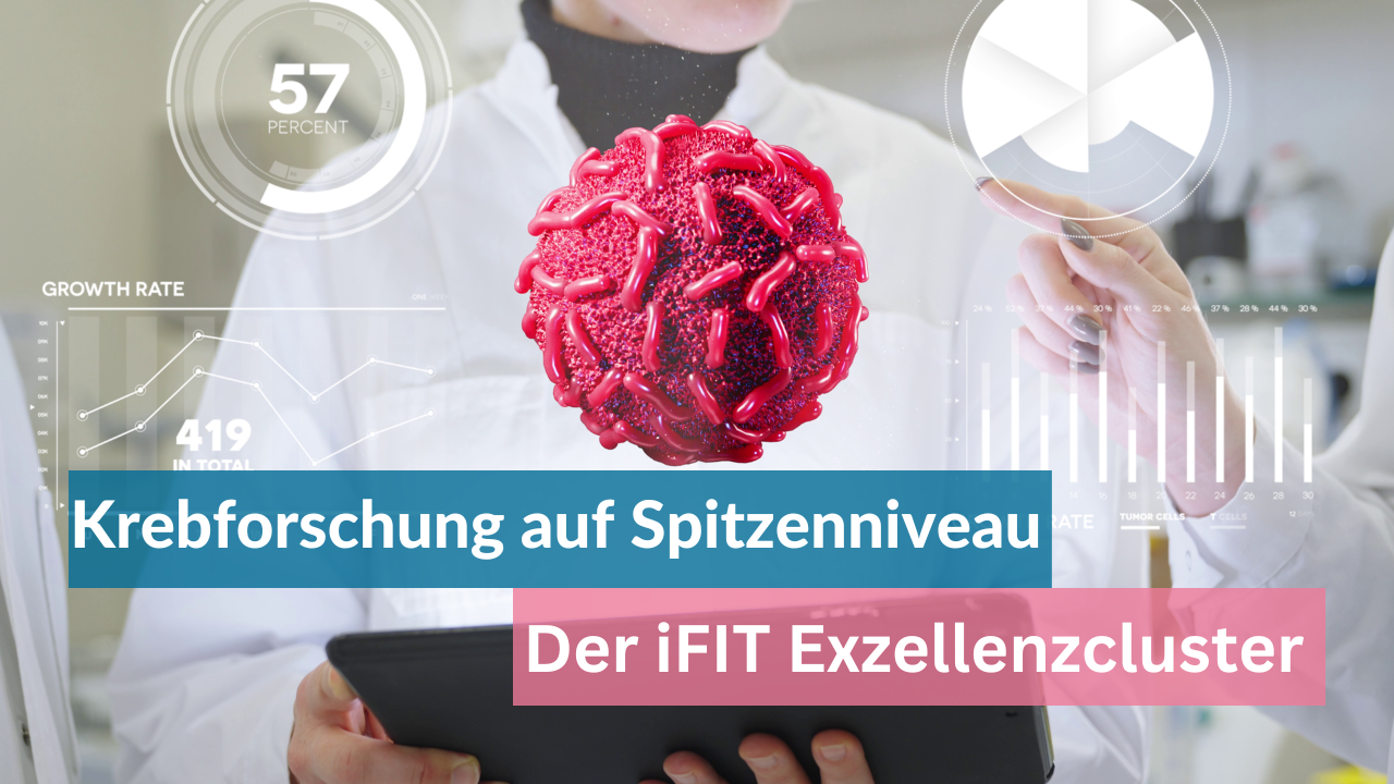 iFIT YouTube