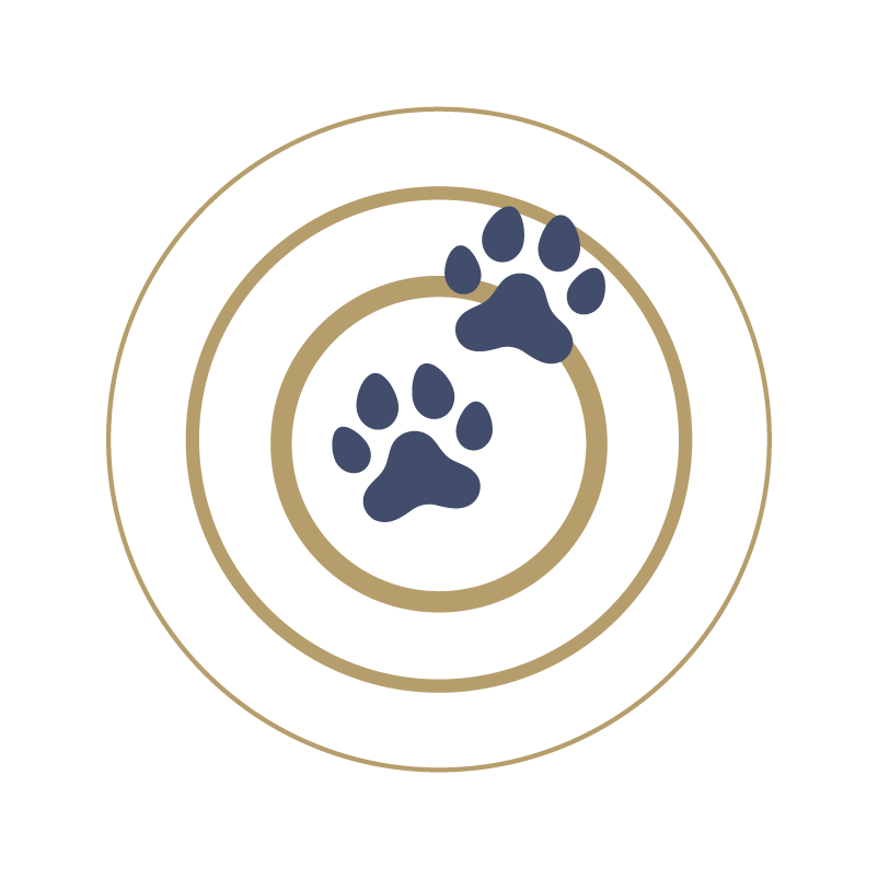 Care Logo