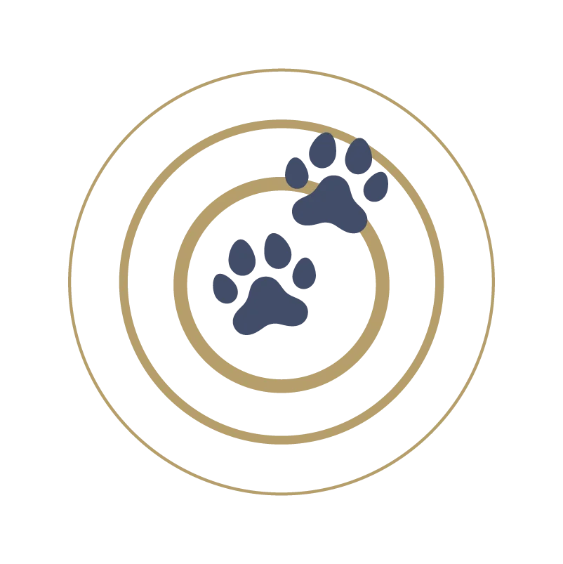 Care Logo