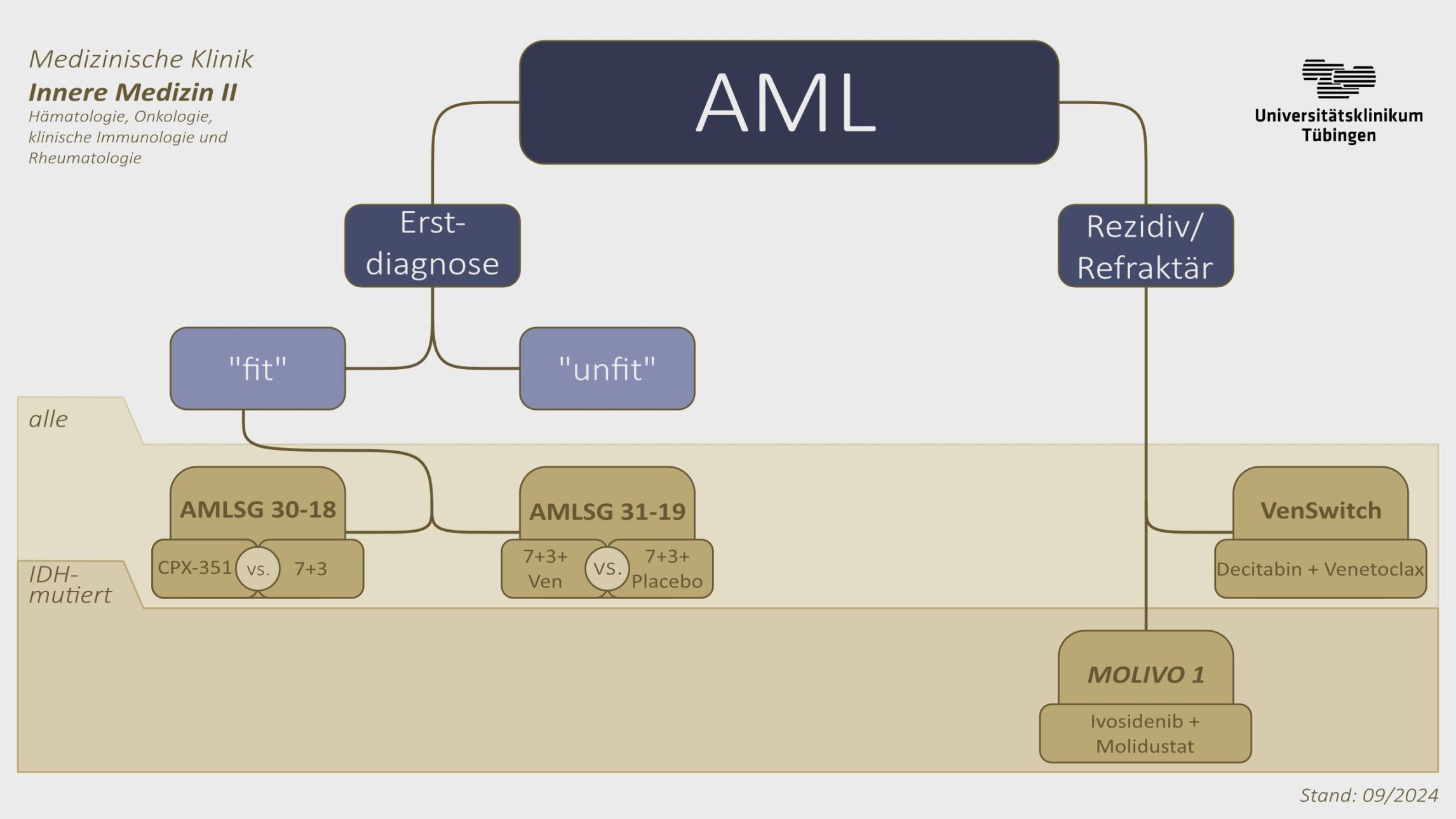 Organigramm Studienübersicht- Siehe Text rechts