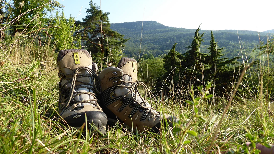 Wanderschuh auf grüner Wiese