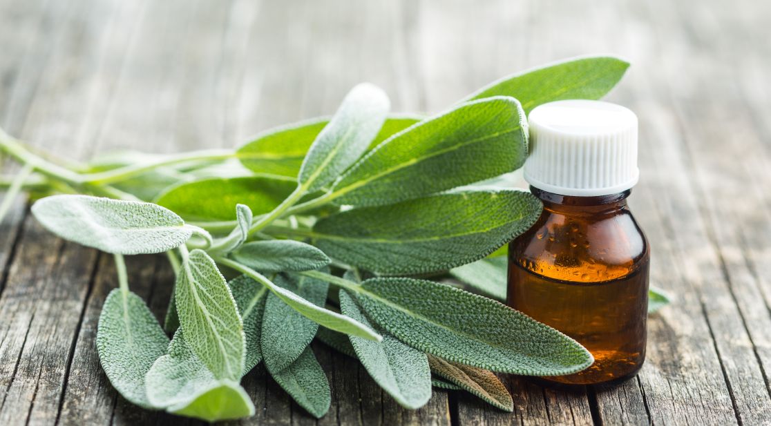 Schmuckbild: Salbeiblätter und braunes Arzneifläschchen auf Holzuntergrund