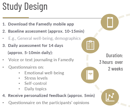 Graphical representation of the process (see text process)
