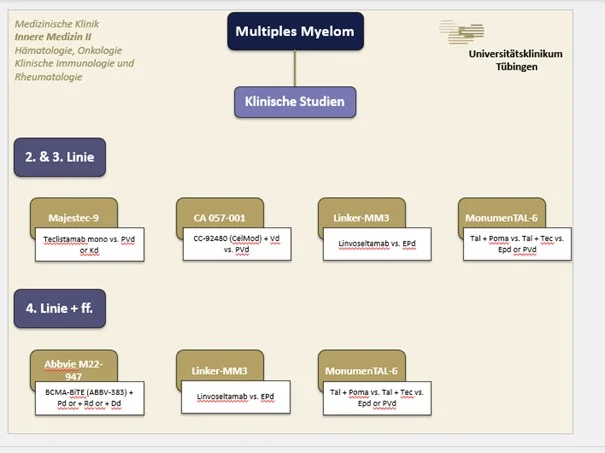 Organigramm Studienübersicht- Siehe Text rechts