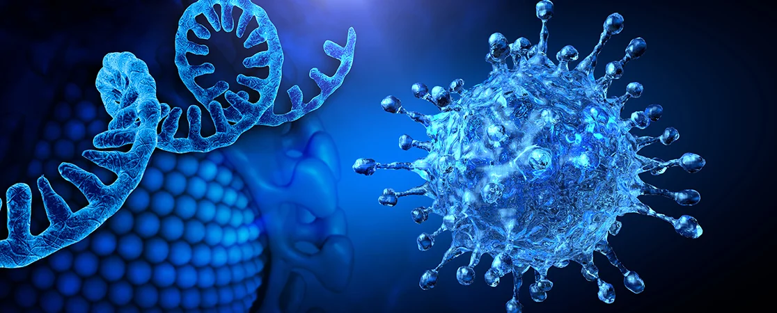 Schmuckbild: Einzelstrang der RNA. Mikroskopische Darstellung einer infektiösen SARS-CoV-2-Viruszelle