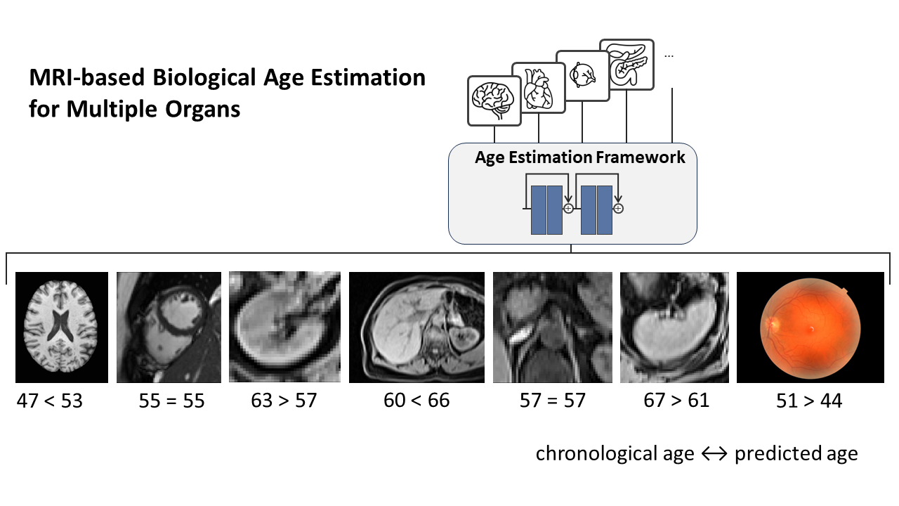 Wissenschaftliche Abbildung