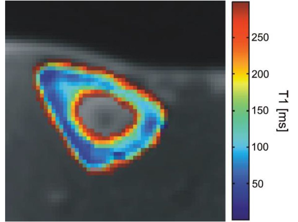 Herstellerunterstützung_Bild 2