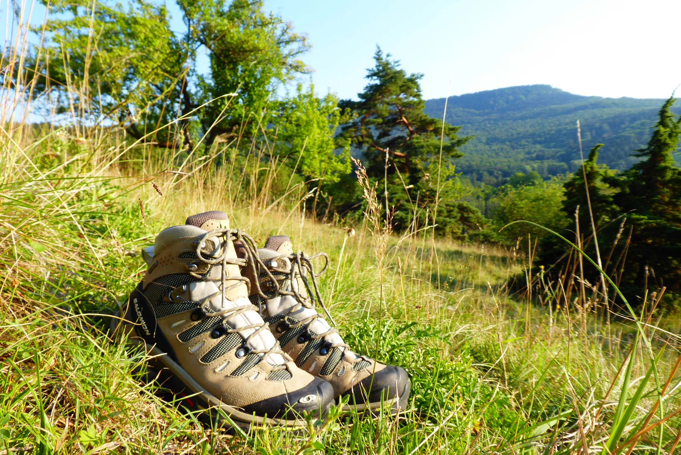 Wanderstiefel auf grüner Bergwiese