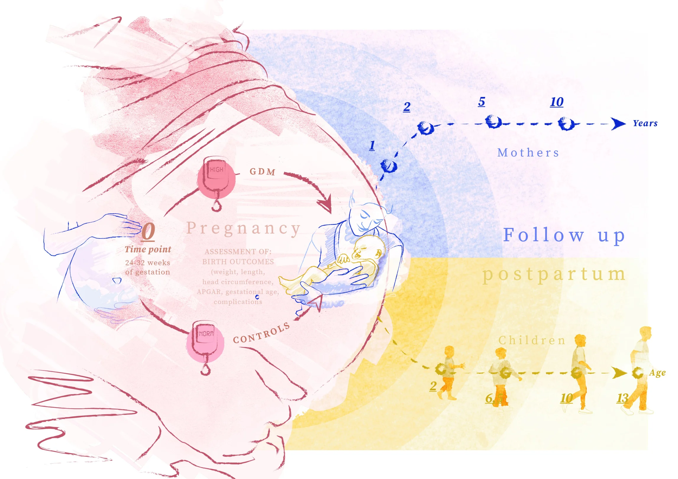 Zeichnung einer schwangeren Frau in Aquarellfarben, im Vordergrund Behandlungszyklus der Gestationsdiabetes