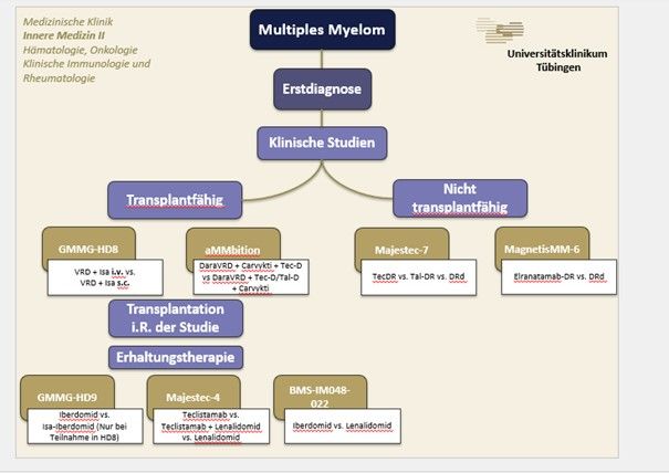 Organigramm Studienübersicht- Siehe Text rechts