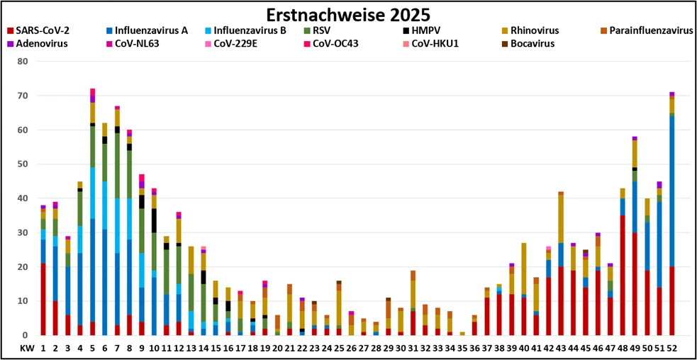 Grafische Darstellung der RV-Nachweise 2025