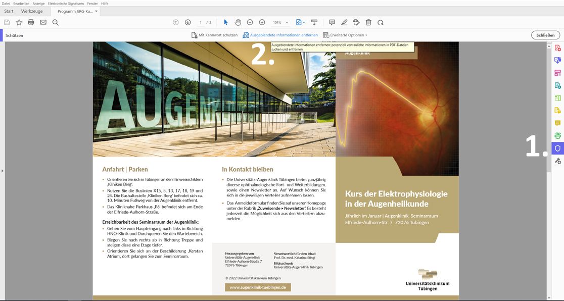 Screenshot PDF Datei