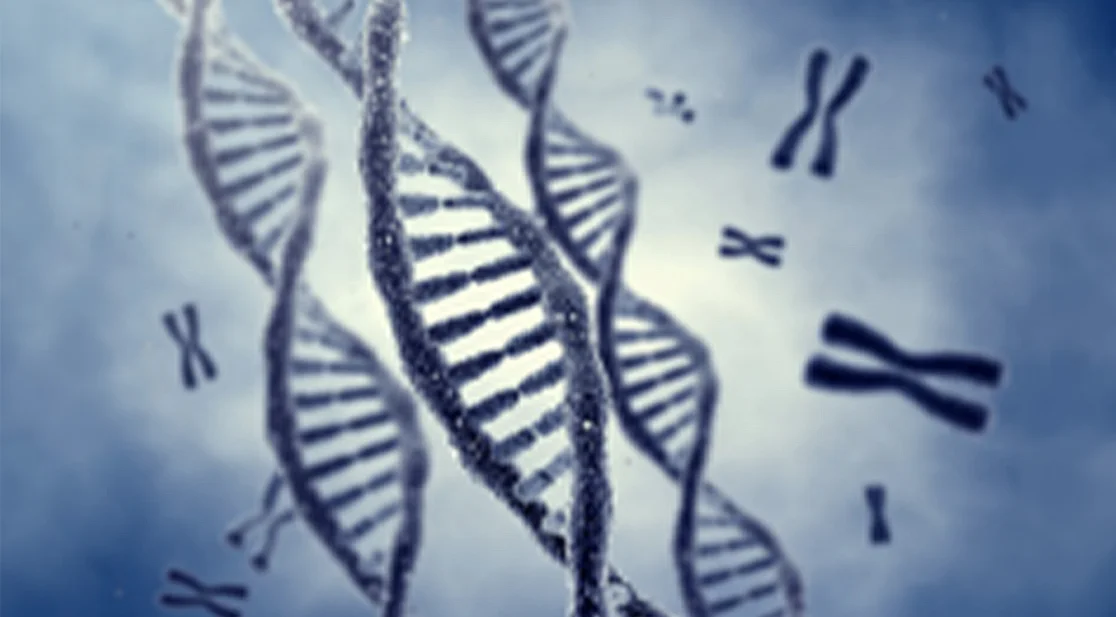 Schmuckbild: DNA-Stränge