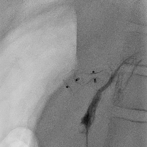 Wissenschaftliche Abbildung CPSS