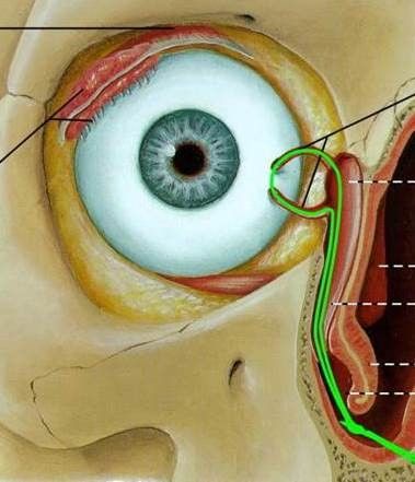Schlaucheinlage als Platzhalter