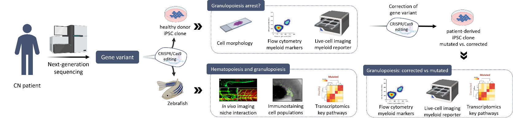 Wissenschaftliche Abbildung zum Thema Disease modeling