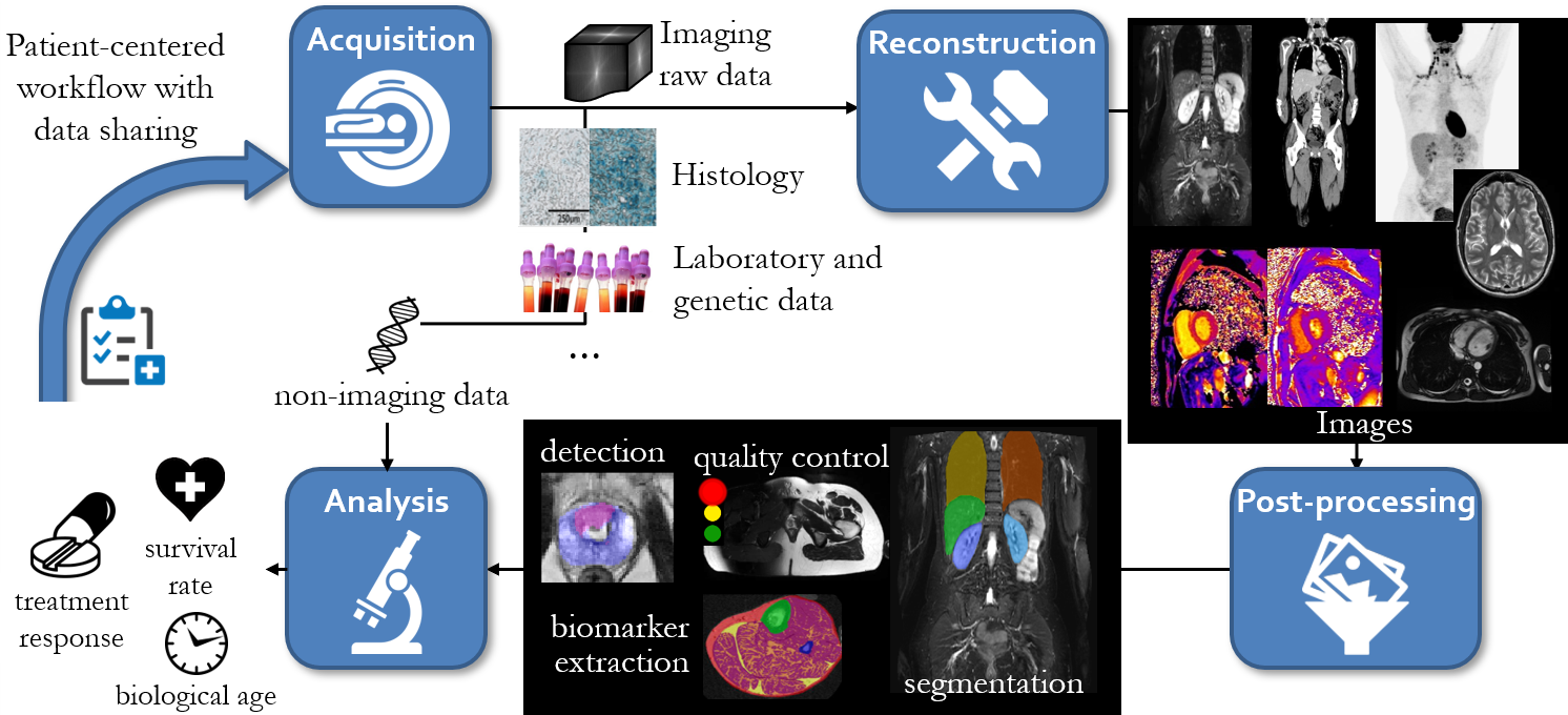Fließdiagramm Wissenschaftlich