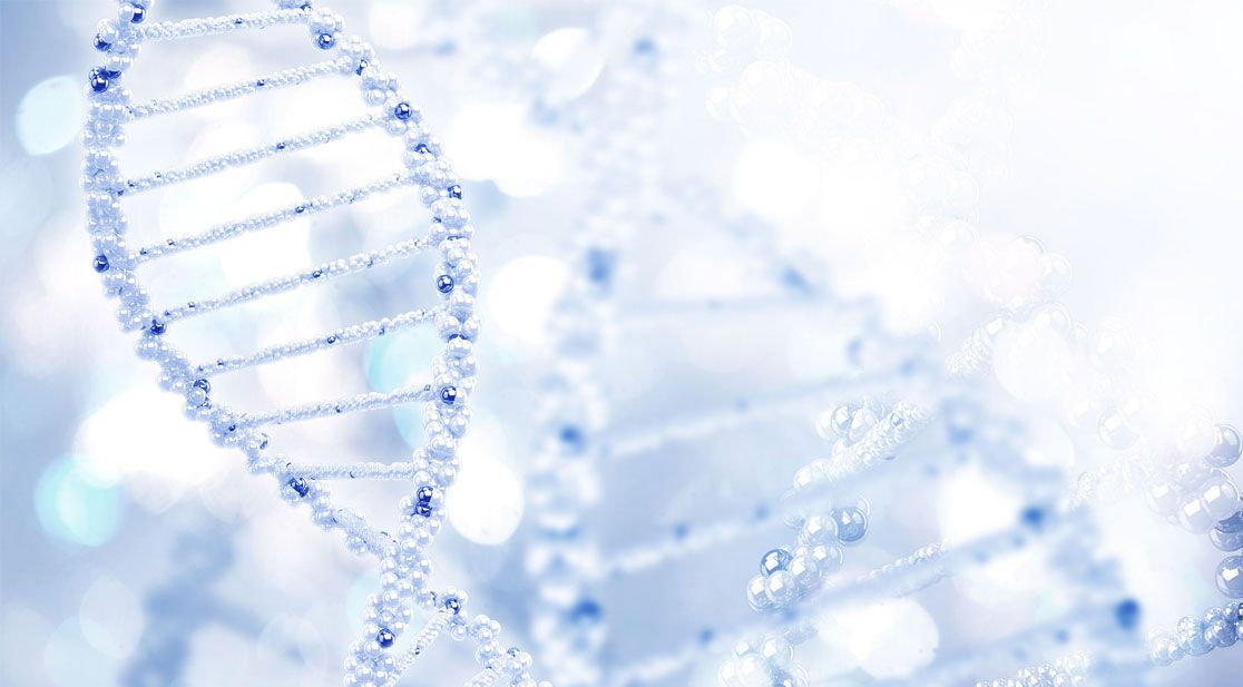 Schmuckbild DNA