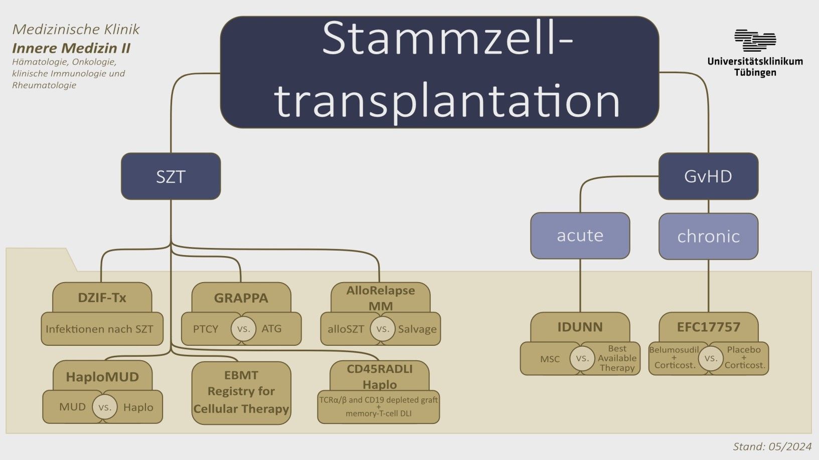Organigramm Studienübersicht- Siehe Text rechts