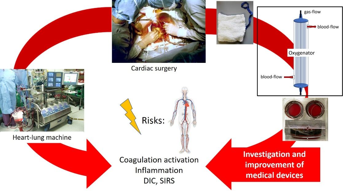 Coagulation activation Inflammation DIC, SIRS